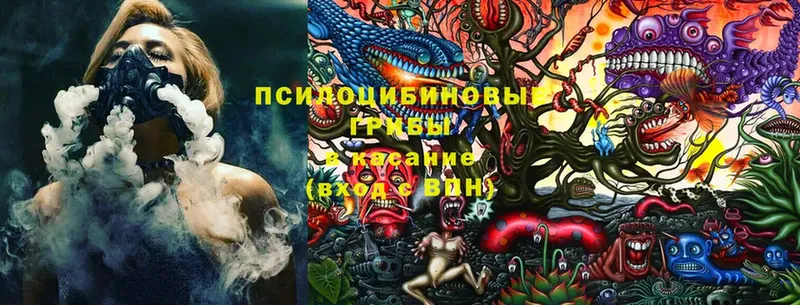 Псилоцибиновые грибы MAGIC MUSHROOMS  omg tor  Калуга 