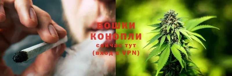 мега ONION  цена   Калуга  Каннабис SATIVA & INDICA 